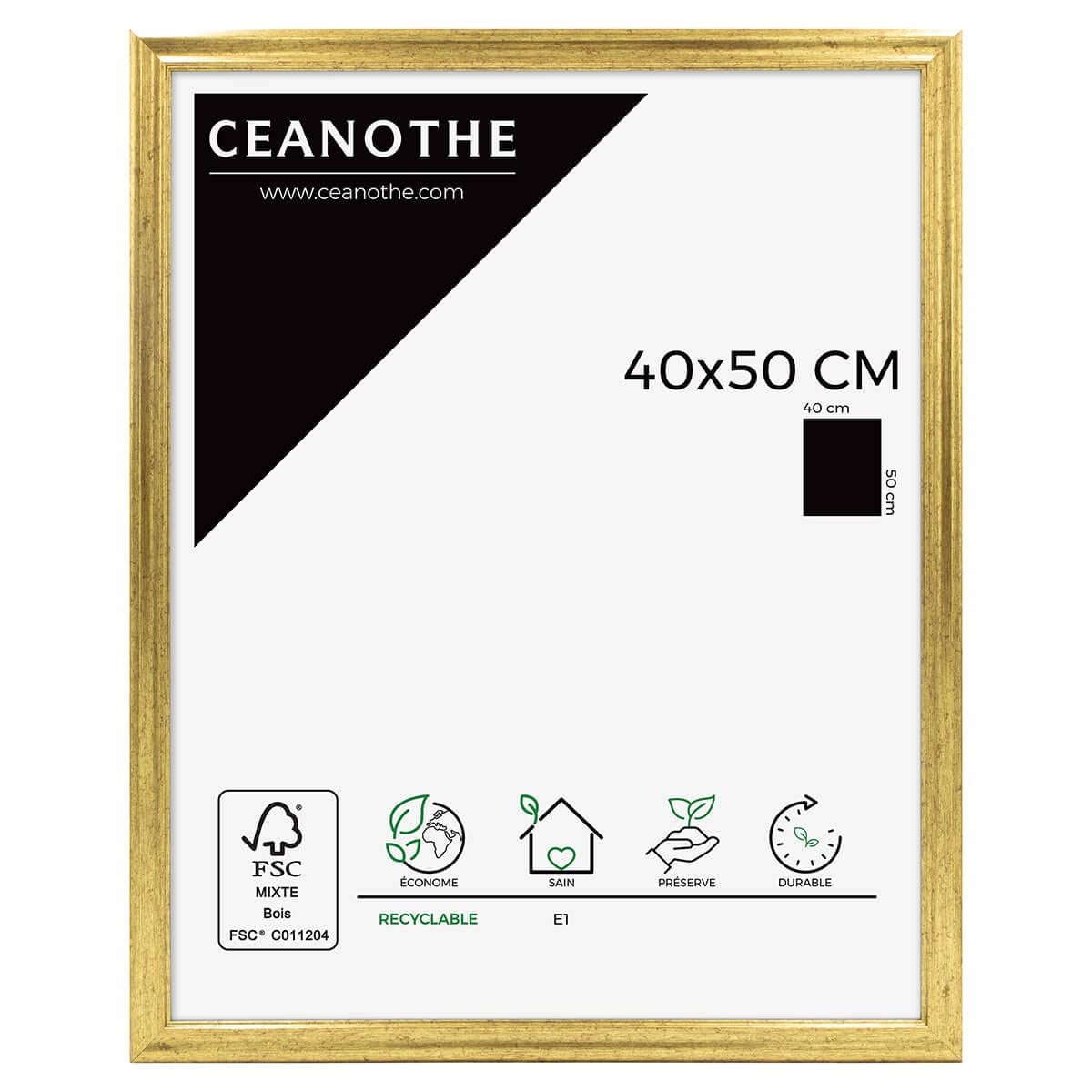 Ceanothe Circée cadre photo doré 50x70 cm
