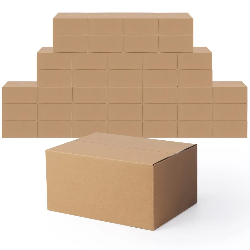 EYMPEU carton expédition 20x15x10 cm marron lot 40