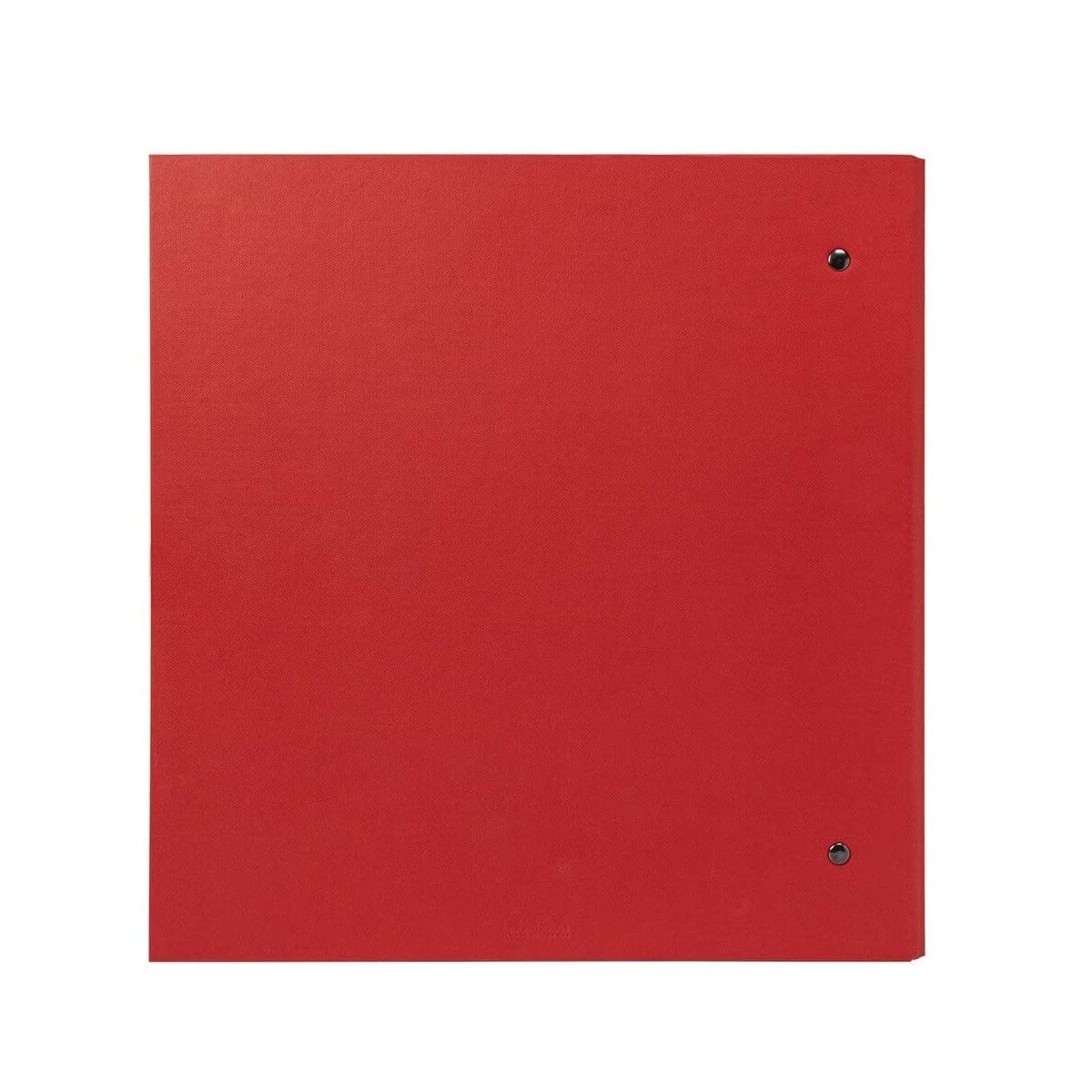 Ceanothe Panodia Album Studio Rouge 10x15 300 Photos