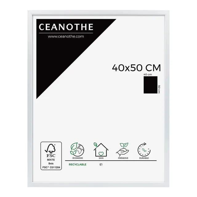 Ceanothe Brio 23511 River cadre photo 40x50 cm blanc laqué