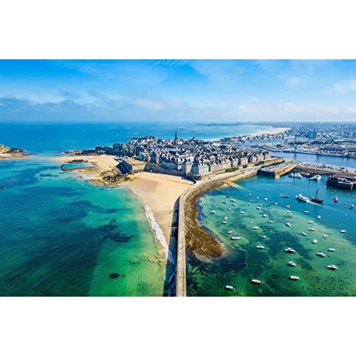 Ceanothe Saint-Malo vue du ciel tableau toile 45x65 cm mat