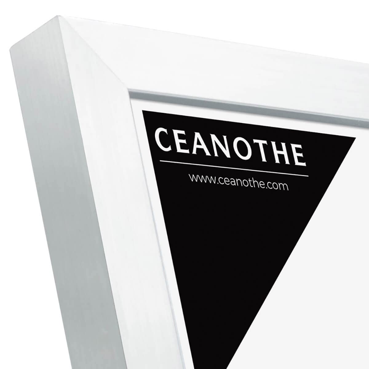 Ceanothe Precious cadre photo acier 15x20 cm incassable