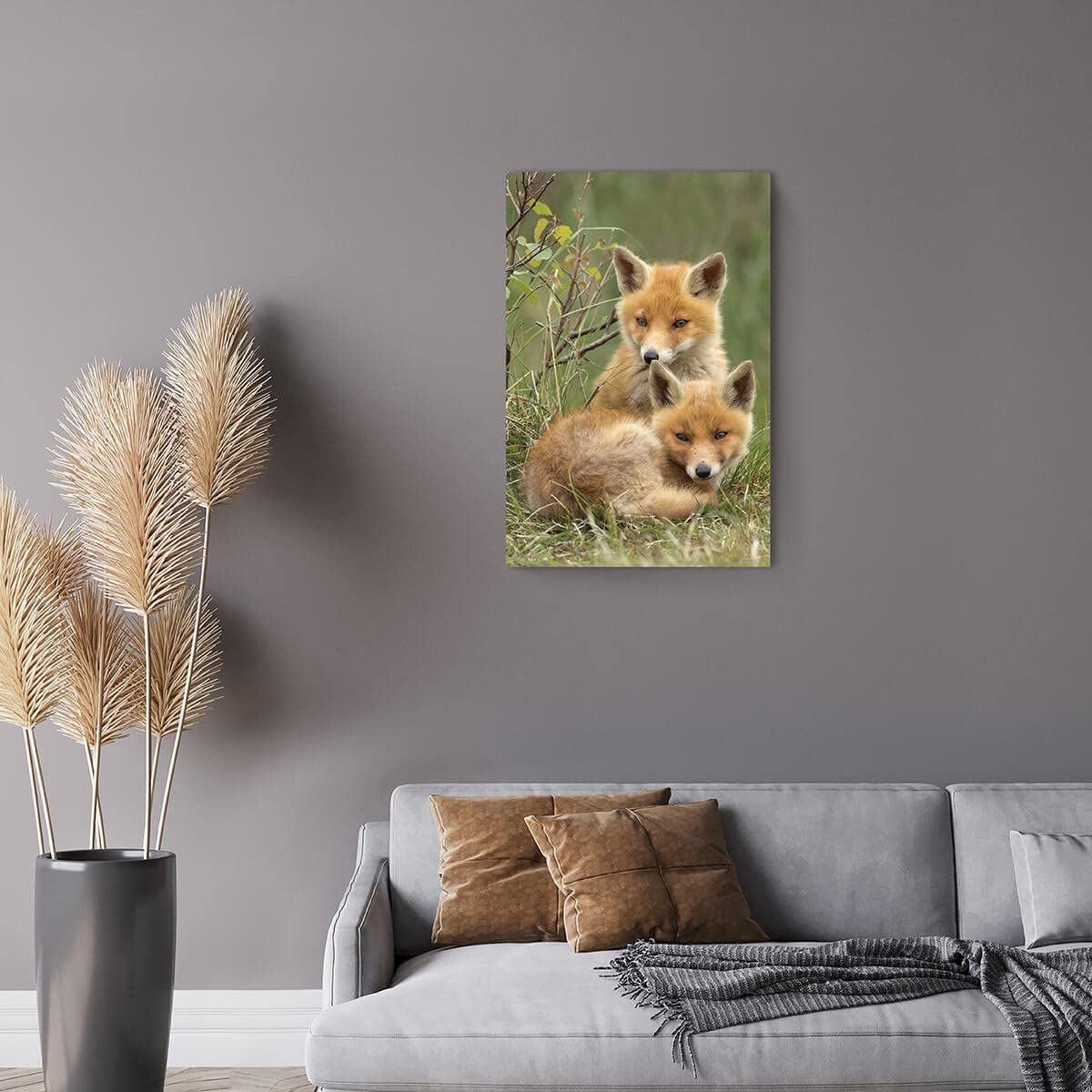Ceanothe bébés renards tableau toile 45x65 cm