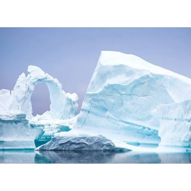 Ceanothe Iceberg tableau toile 65x97 cm mate salon