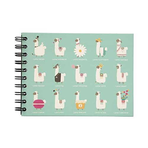 Ceanothe Panodia Artist mini album photo lama 30 pages