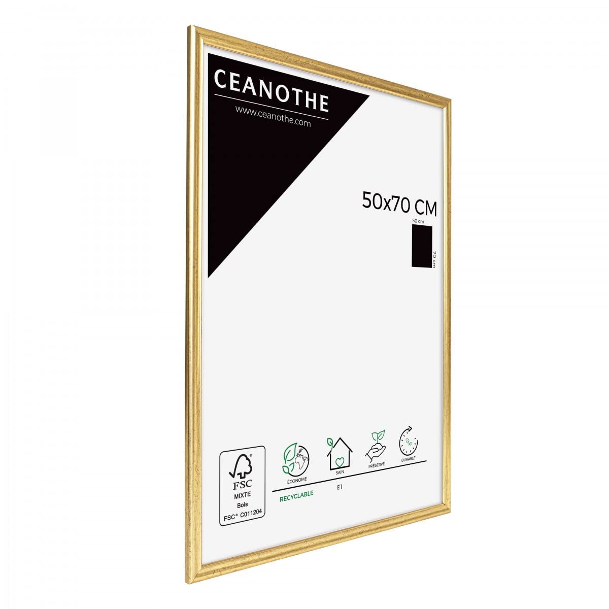 Ceanothe Circée cadre photo doré 50x70 cm
