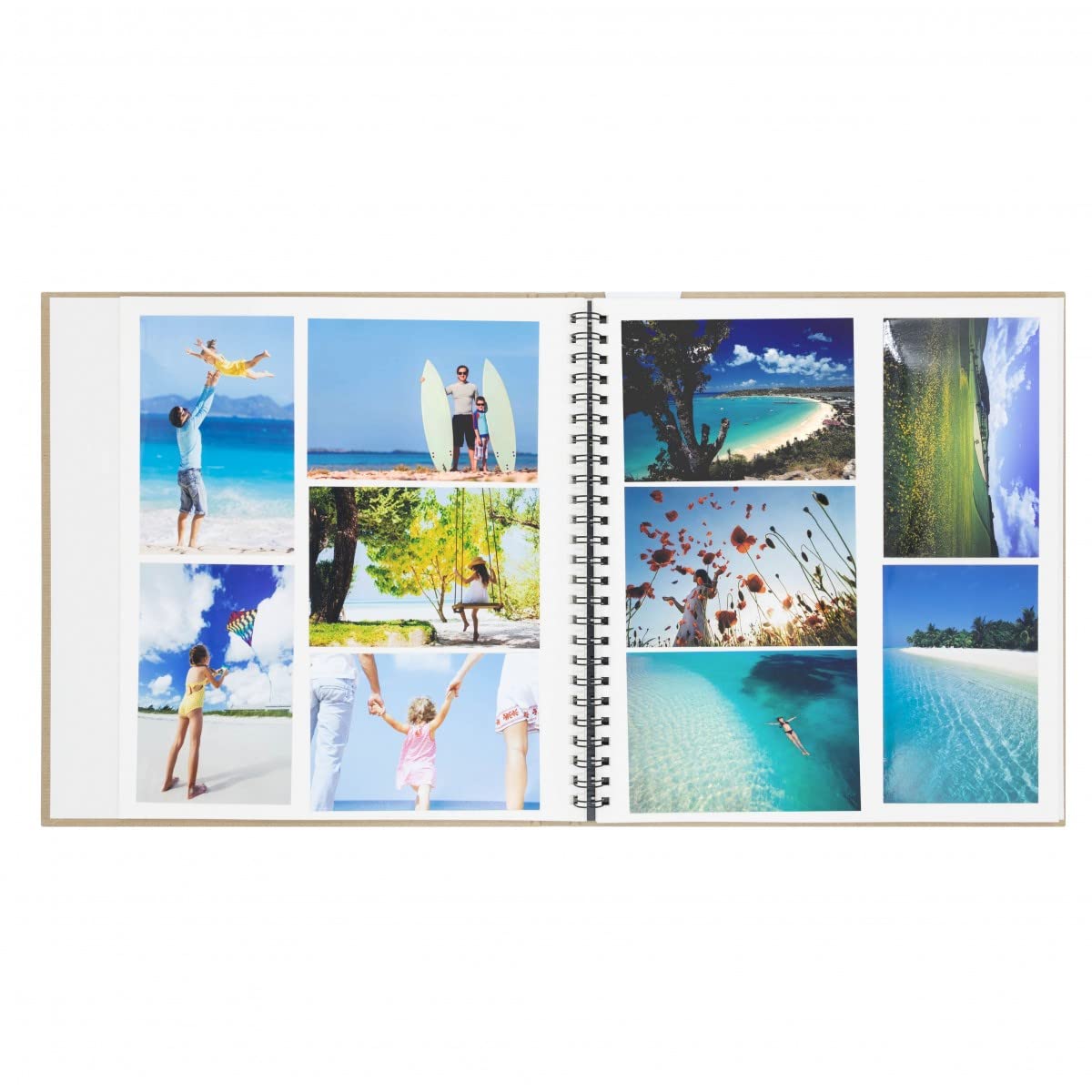 Ceanothe Nino 722034 album photo jaune 300 photos traditionnel
