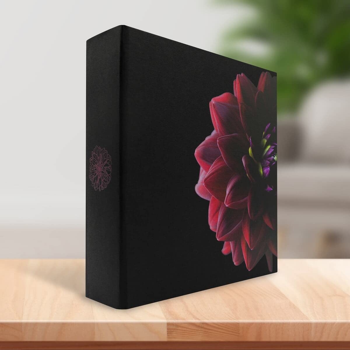 Ceanothe Dahlia album photo 200 photos floral