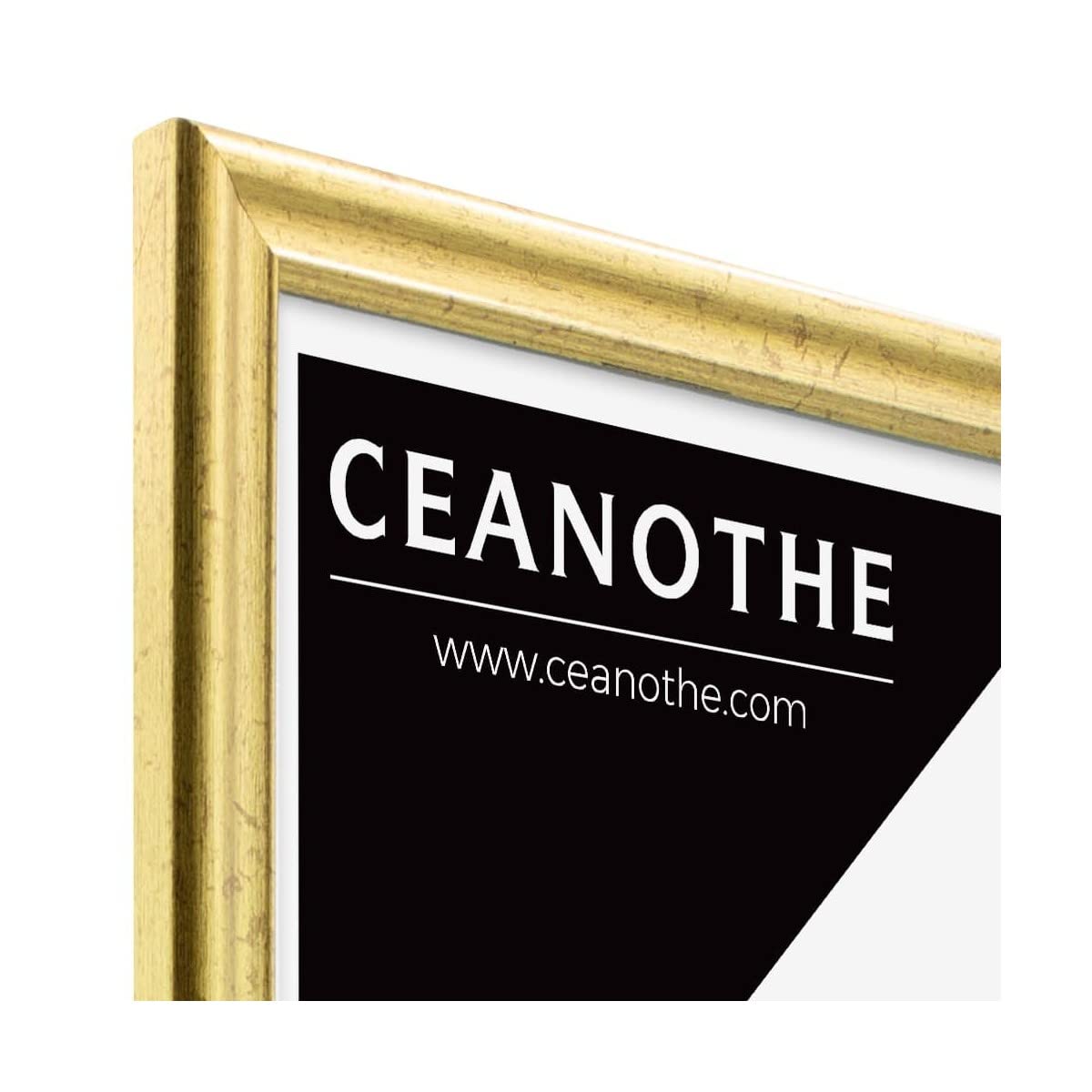 Ceanothe Circée cadre photo doré 50x70 cm