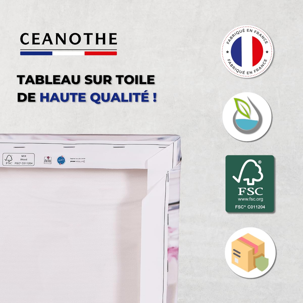 Ceanothe Art de nos régions Plat Gousset Granville tableau toile 45x65 cm