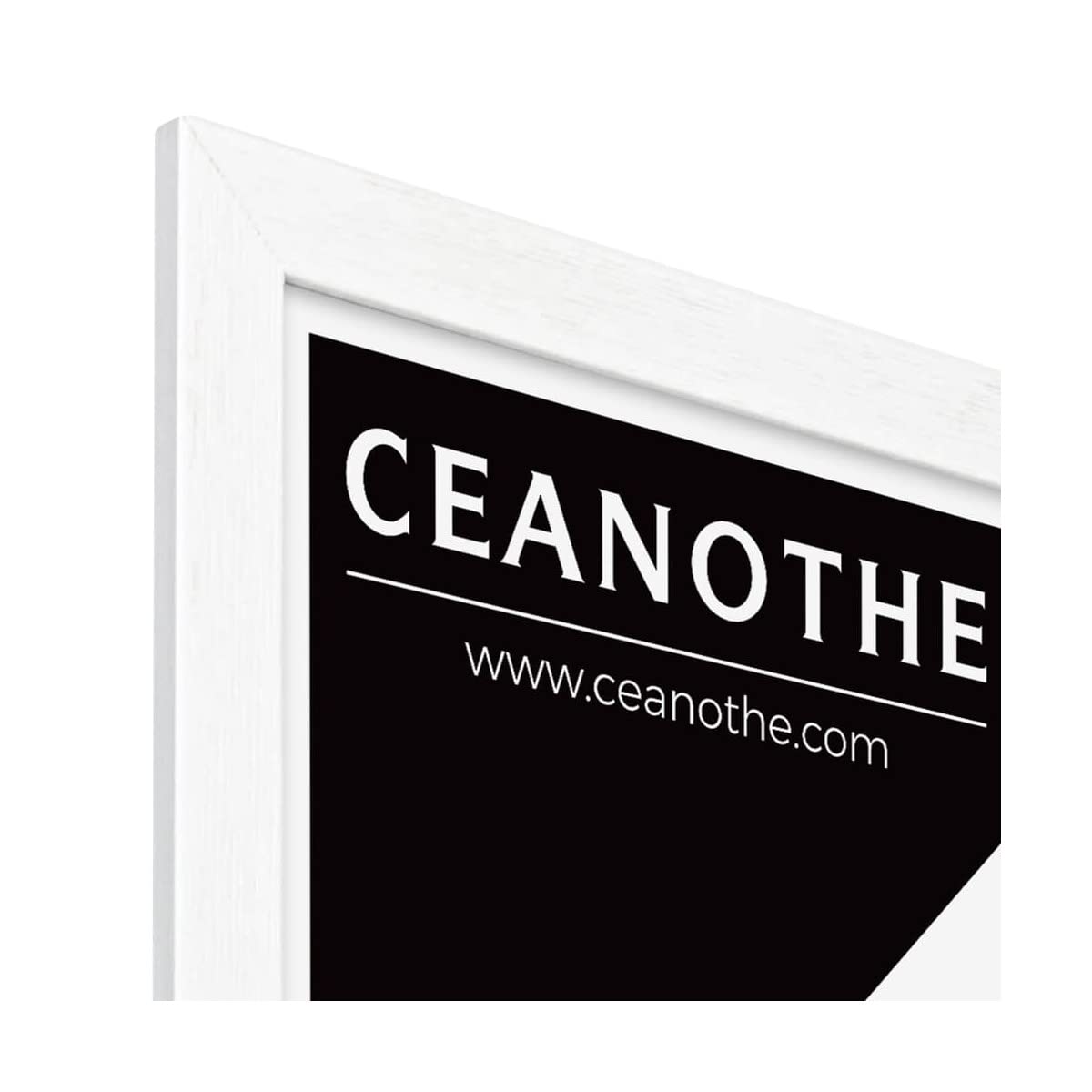 Ceanothe Karma 60x80 cadre photo blanc incassable