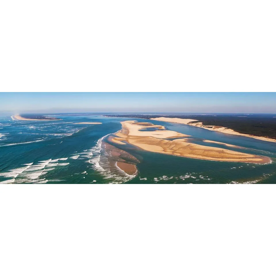 Ceanothe Vue Dune du Pilat tableau toile 45x135 cm