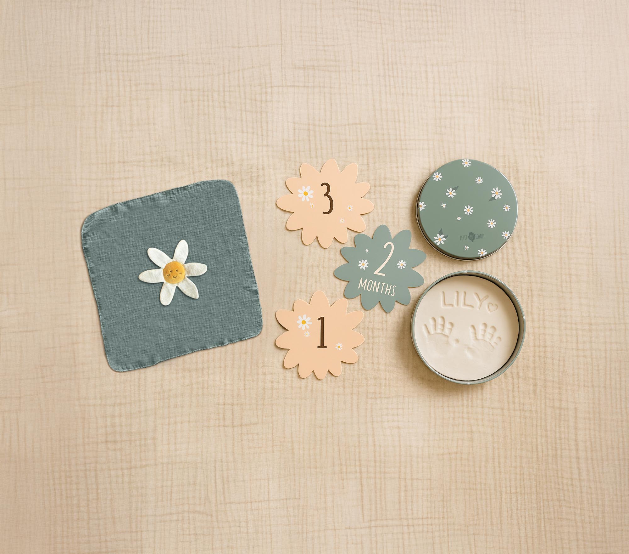 Petit Artichaut Daisy Blue coffret naissance marguerite bleu