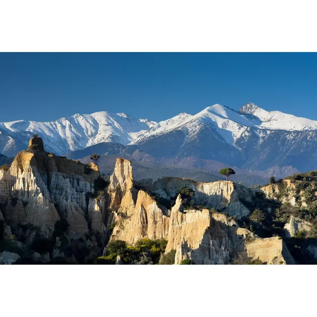 Ceanothe Art de nos régions le Canigou tableau toile 45x65 cm montagne