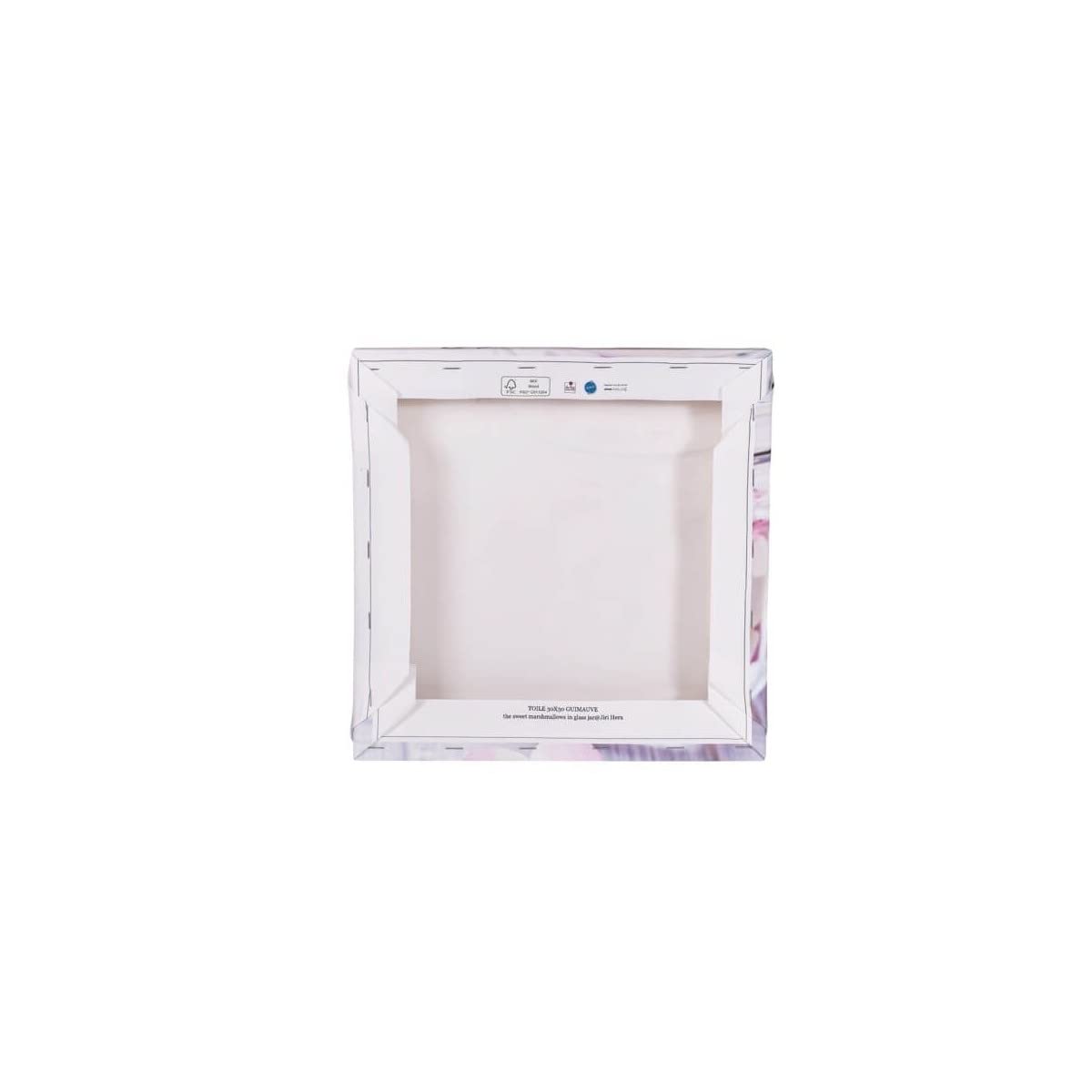 Ceanothe Roses tableau toile 45x45 cm HD