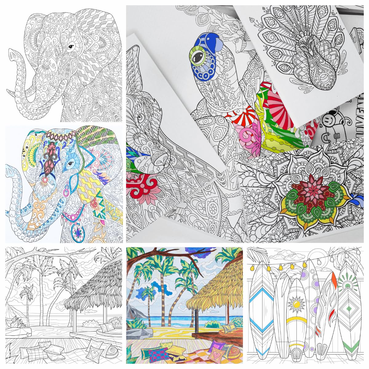 Ceanothe Nature à colorier tableau toile 30x30 cm HD