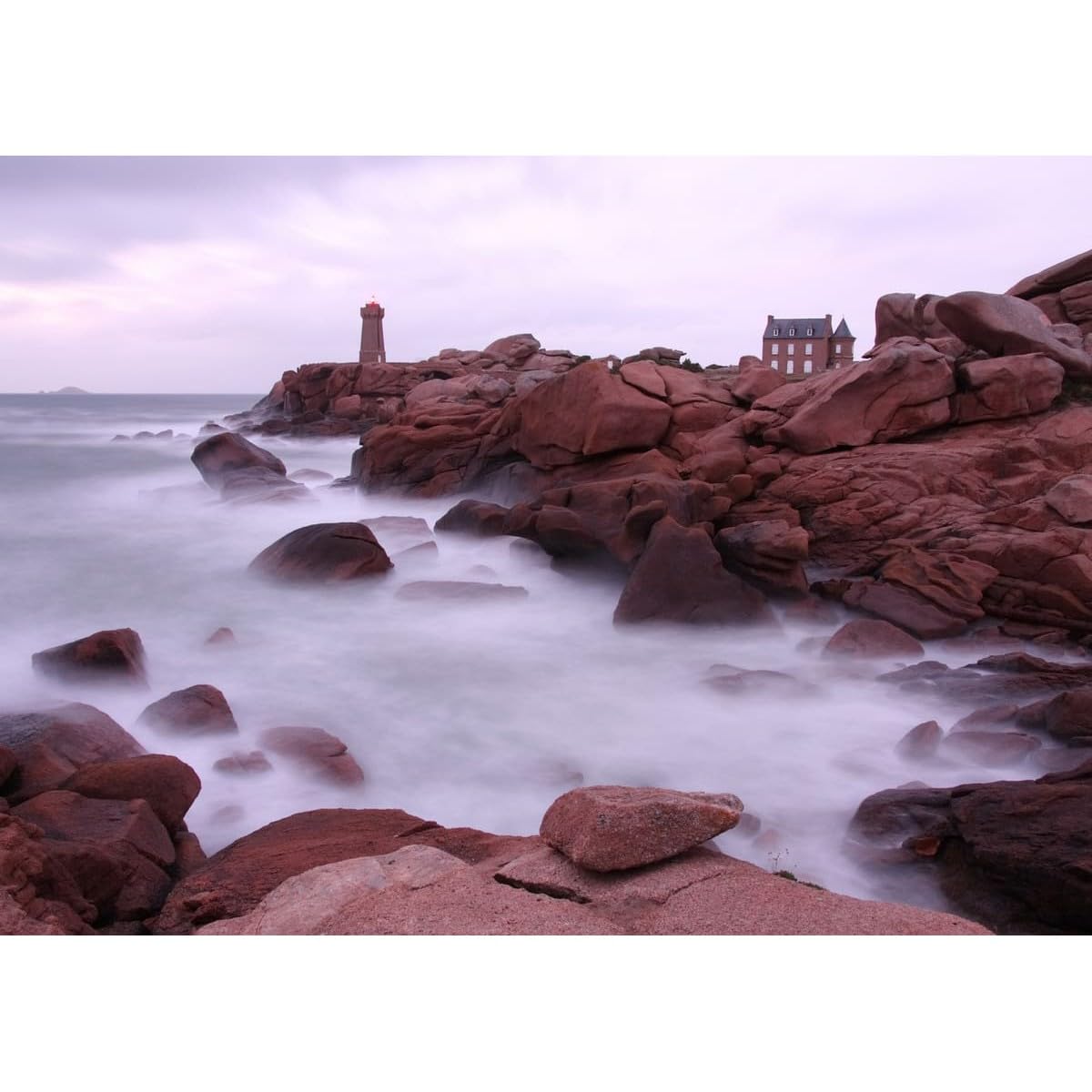 Ceanothe Brume Île Bretonne tableau toile 45x65 cm mat