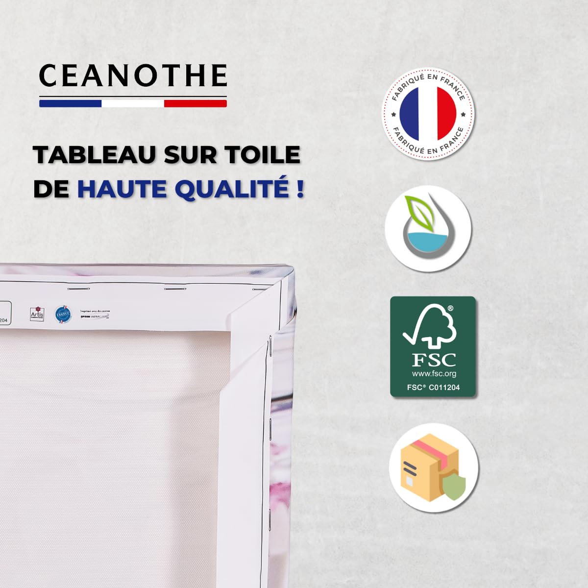 Ceanothe Paon Humain tableau sur toile 45x45 cm HD