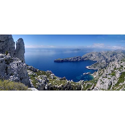 Ceanothe Calanques tableau verre synthétique 65x145 cm