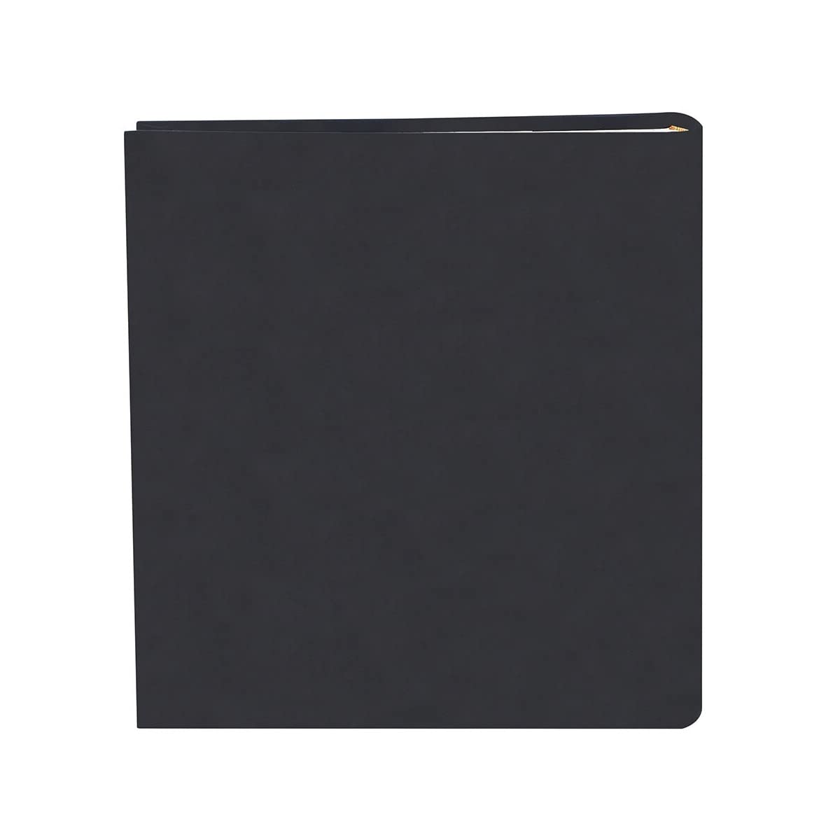 Ceanothe Alto album photo pochettes 200 photos noir