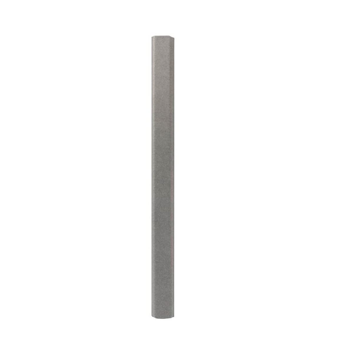 Ceanothe Panodia Studio album photo gris 300 vues 10x15