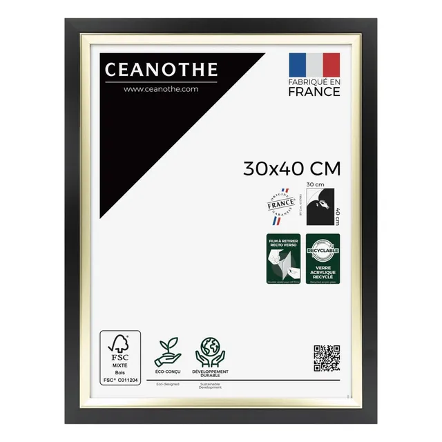Ceanothe Actual 30x40 cadre photo noir et doré affiche