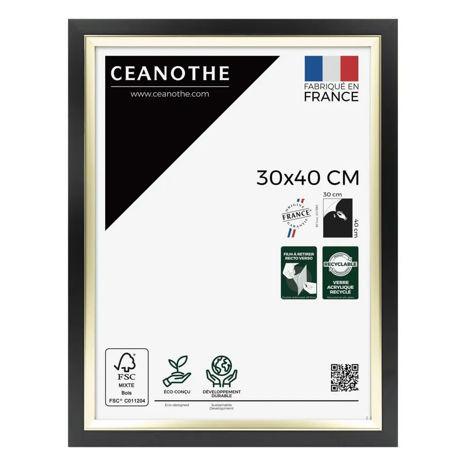 Ceanothe Actual 30x40 cadre photo noir et doré affiche