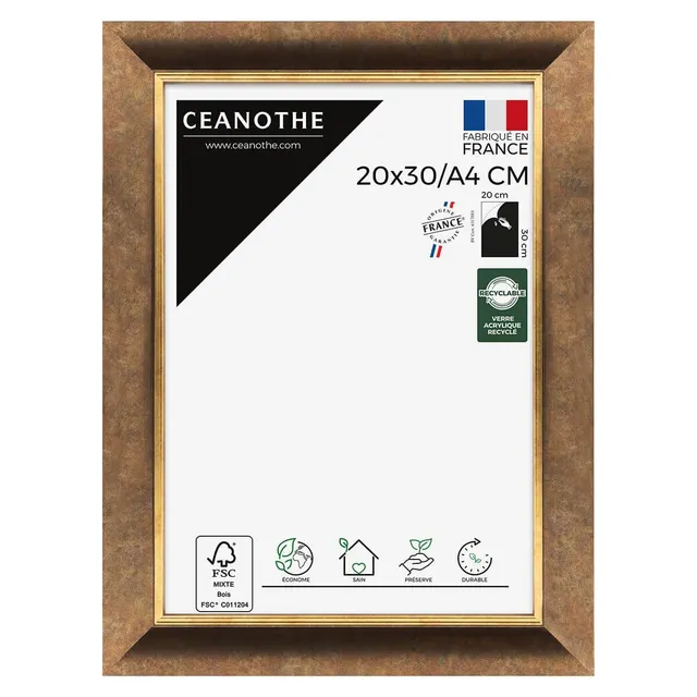 Ceanothe Brio Hades cadre photo 20x30 filet or bois