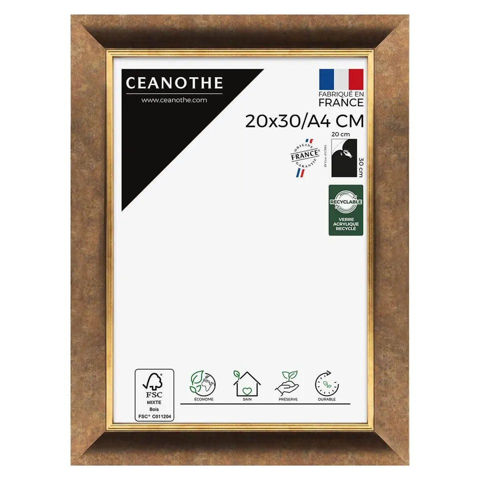 Ceanothe Brio Hades cadre photo 20x30 filet or bois