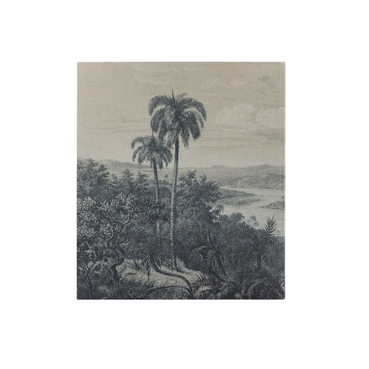 Ceanothe album photo palmier 600 vues 10x15 coton