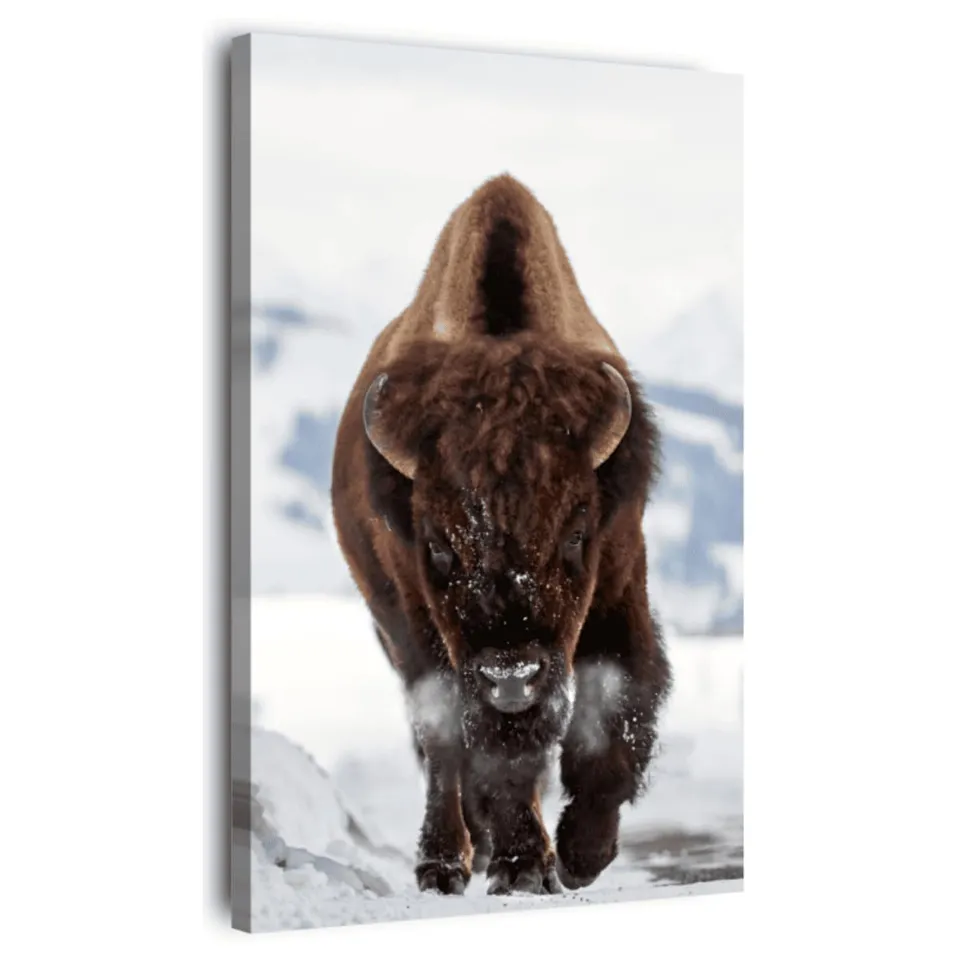 Ceanothe Bison tableau toile 45x65 cm mate nature