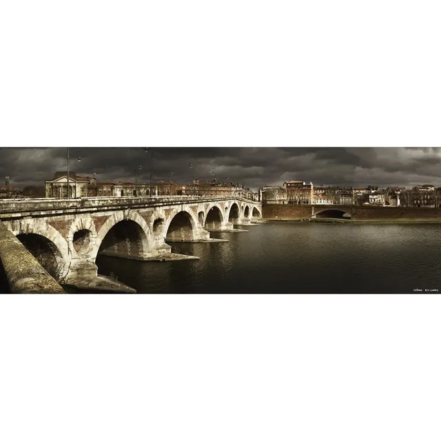 Ceanothe Pont Neuf Toulouse tableau toile 45x135 cm
