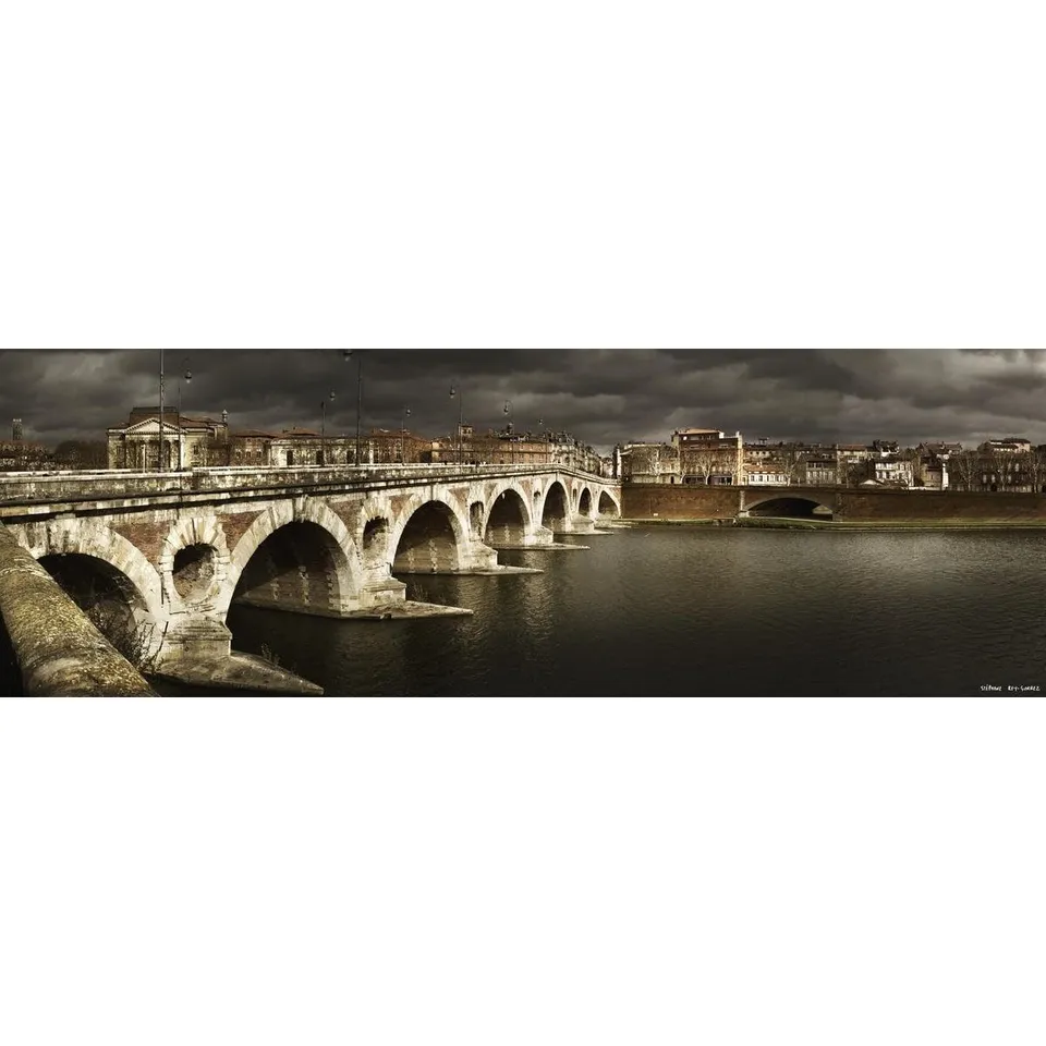 Ceanothe Pont Neuf Toulouse tableau toile 45x135 cm