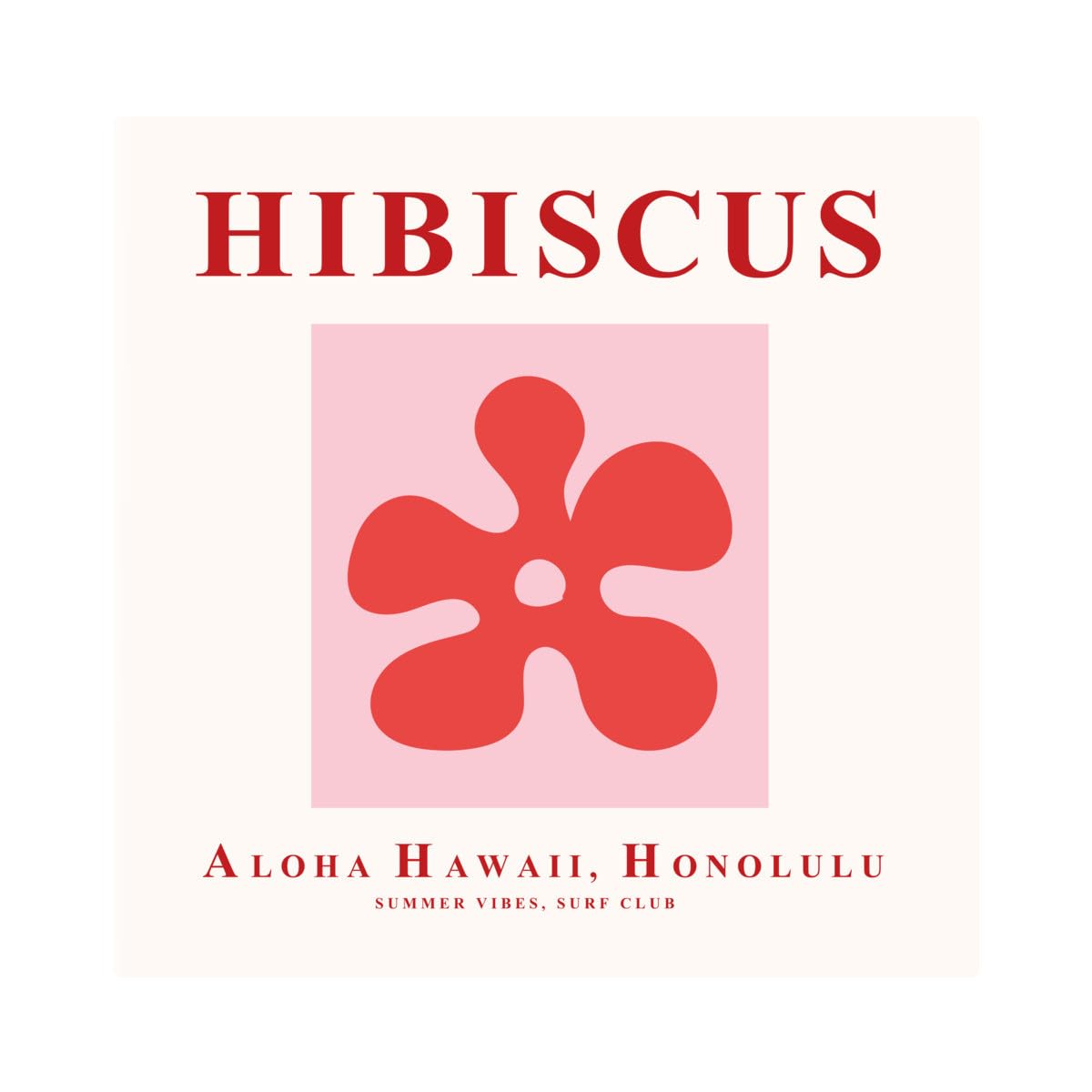 Ceanothe Hibiscus album photo pochettes 200 photos 11,5x15 cm