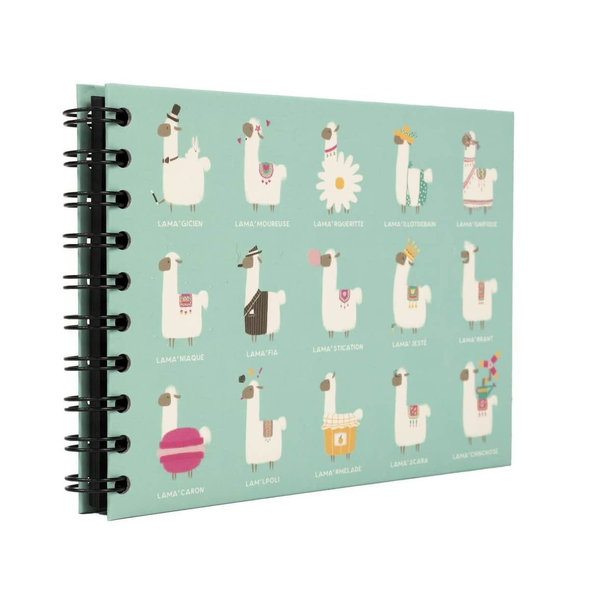 Ceanothe Panodia Artist mini album photo lama 30 pages