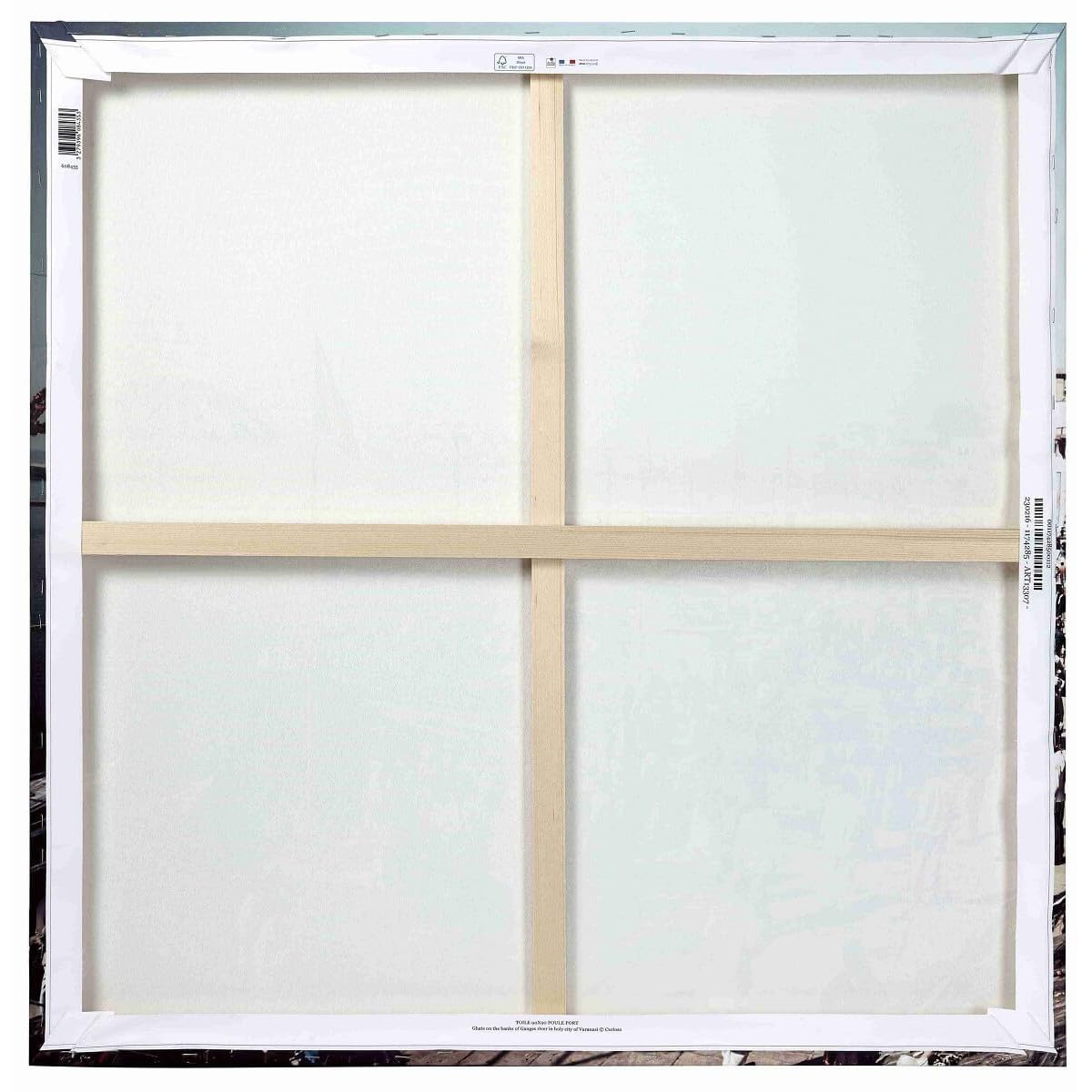 Ceanothe Lion Profil tableau verre 90x90 cm brillant